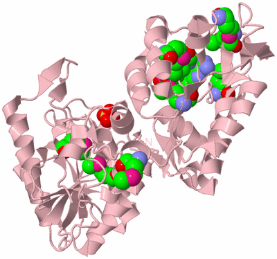 Image Biological Unit 3