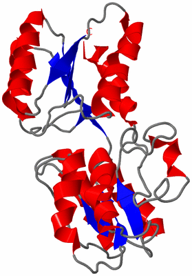 Image Theoretical Model