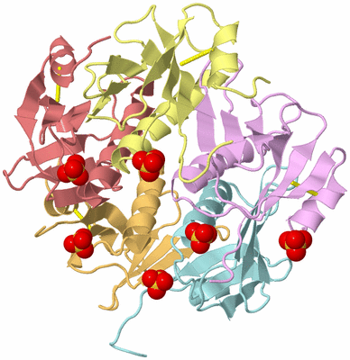 Image Biological Unit 1