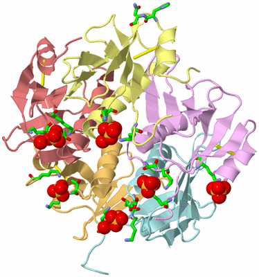 Image Biol. Unit 1 - sites