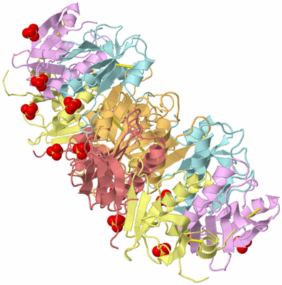 Image Biological Unit 2