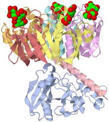 Image Asym./Biol. Unit