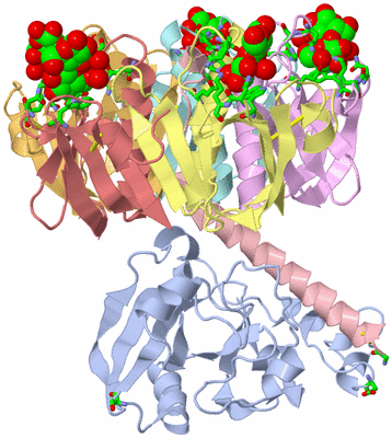 Image Asym./Biol. Unit - sites