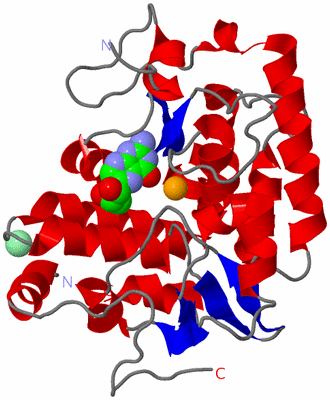 Image Asym./Biol. Unit