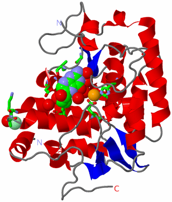 Image Asym./Biol. Unit - sites