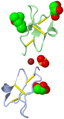 Image Asymmetric Unit