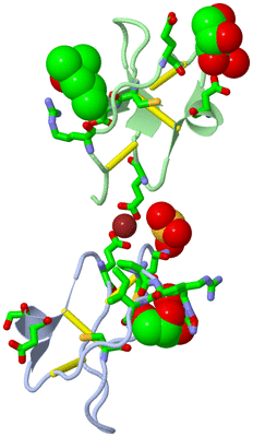 Image Asym. Unit - sites