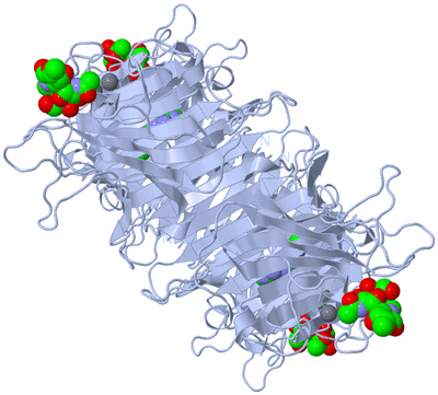 Image Biological Unit 1