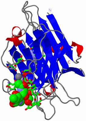 Image Asym. Unit - sites