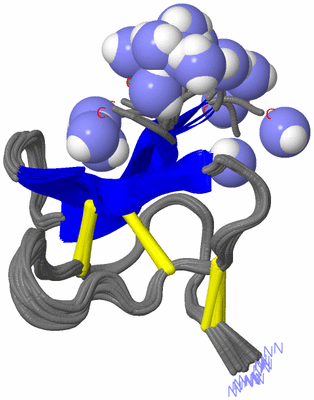 Image NMR Structure - all models