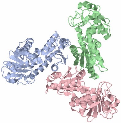 Image Asym./Biol. Unit