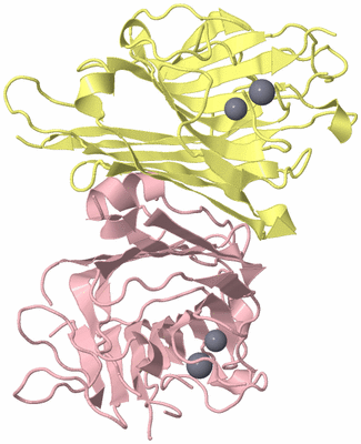 Image Biological Unit 2