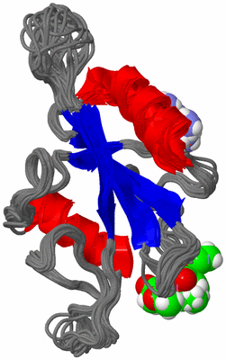 Image NMR Structure - all models