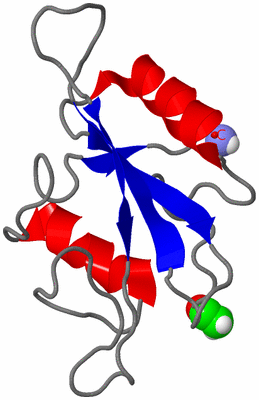 Image NMR Structure - model 1, sites