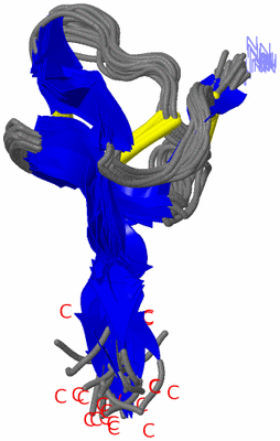 Image NMR Structure - all models