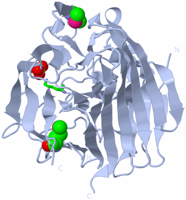 Image Biol. Unit 1 - sites