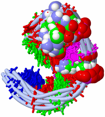 Image NMR Structure - all models