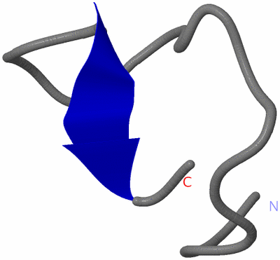 Image NMR Structure - model 1