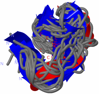 Image NMR Structure - all models