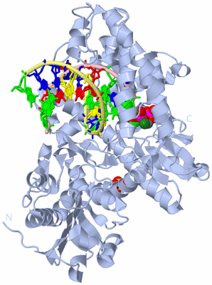 Image Biological Unit 1