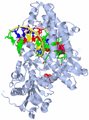 Image Biol. Unit 1 - sites