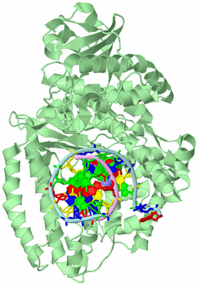 Image Biological Unit 2