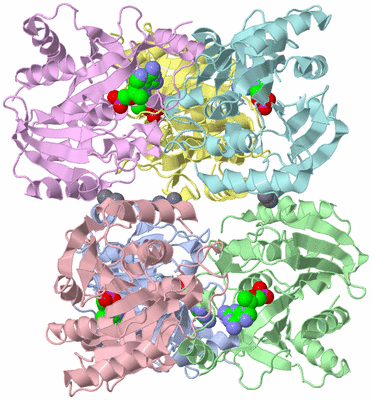 Image Asym./Biol. Unit
