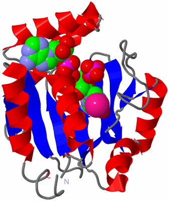 Image Asym./Biol. Unit