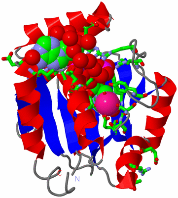 Image Asym./Biol. Unit - sites