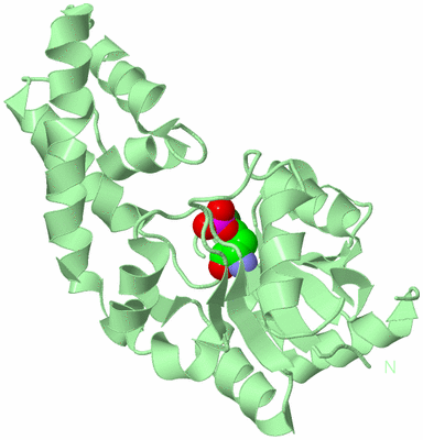 Image Biological Unit 2