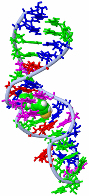 Image NMR Structure - model 1