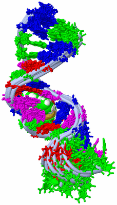 Image NMR Structure - all models