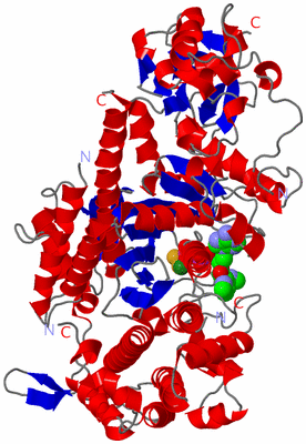 Image Asym./Biol. Unit