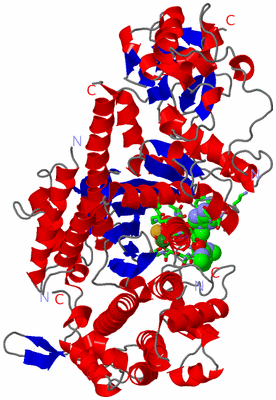 Image Asym./Biol. Unit - sites