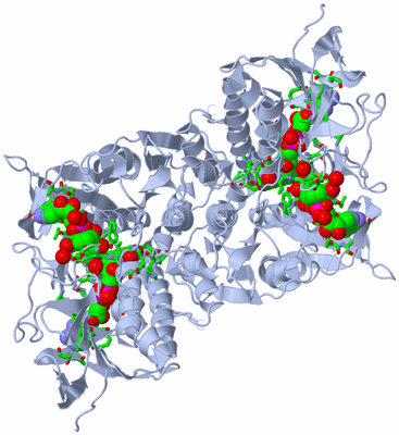 Image Biol. Unit 1 - sites