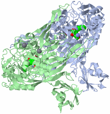 Image Asym./Biol. Unit