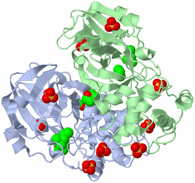 Image Biological Unit 1