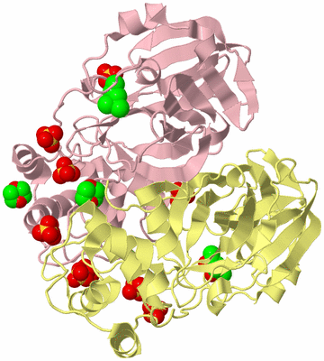 Image Biological Unit 2