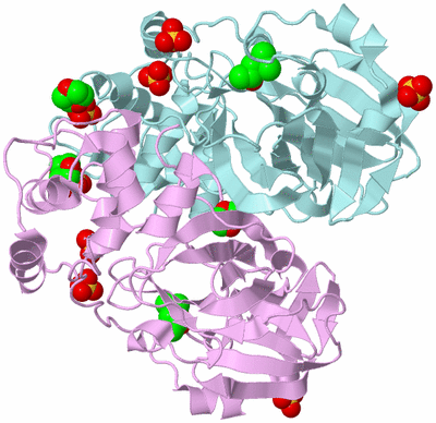 Image Biological Unit 3