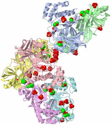 Image Biological Unit 4