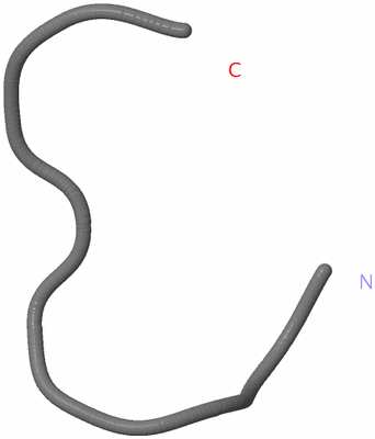 Image NMR Structure - model 1