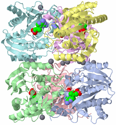 Image Asym./Biol. Unit