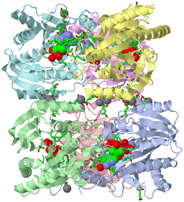 Image Asym./Biol. Unit - sites