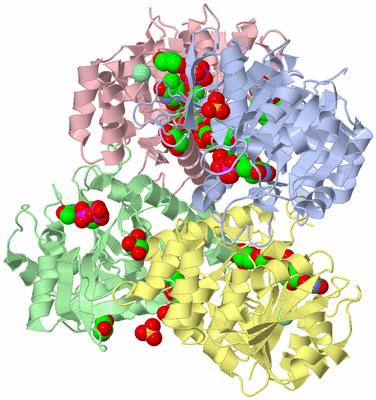 Image Asym./Biol. Unit