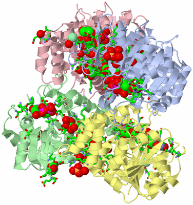 Image Asym./Biol. Unit - sites