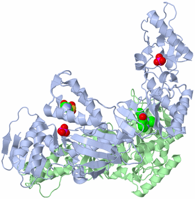 Image Asym./Biol. Unit