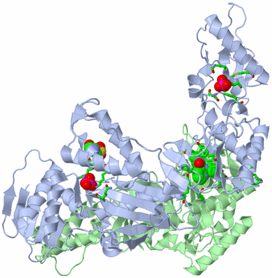 Image Asym./Biol. Unit - sites