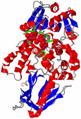 Image Asym./Biol. Unit - sites