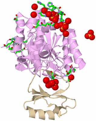 Image Asym./Biol. Unit - sites