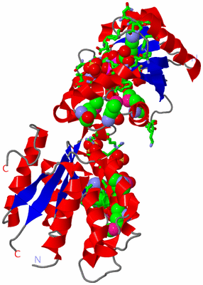 Image Asym. Unit - sites